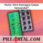 Wofür Wird Kamagra-Gelee Verwendet0 new04